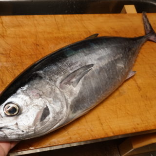 マダイの湯霜造り 自宅居酒屋